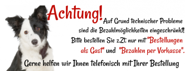 Eingeschraenkte Zahlmöglichkeiten